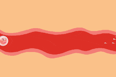 3.gif