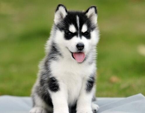 1573097999276169.jpg ff40d587de064ba097f8555ea31550d3_th.jpg