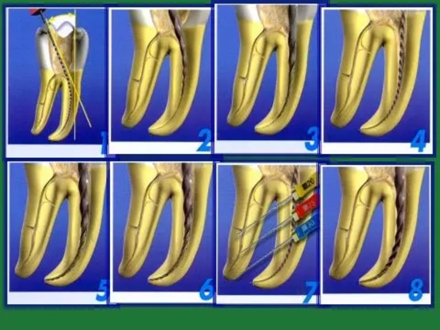 1553846735826.jpg