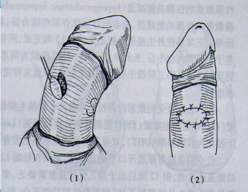 微信图片_20191121212331.jpg