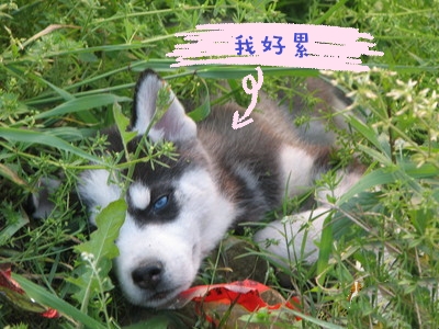 1576410978160833.jpeg 20191127_200254.jpeg