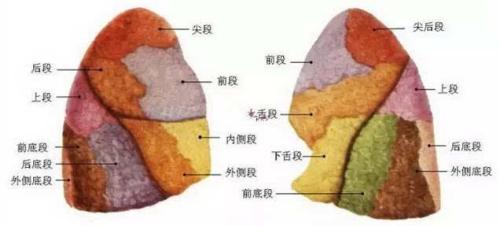 u=3792383850,4243754388&fm=26&gp=0.jpg