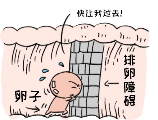 微信截图_20191231163502.png