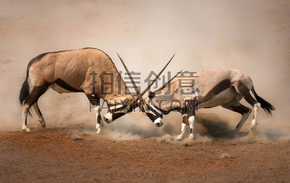 微信图片_20200101140200.jpg