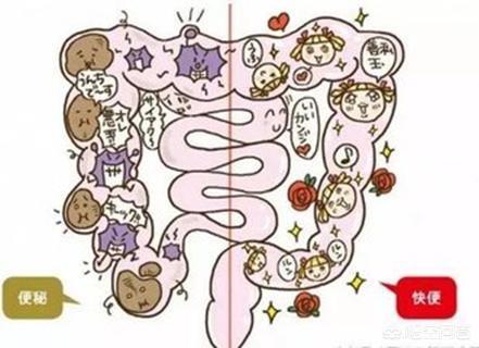 经常拉稀便、检查未见异常，问题严重吗？怎么办？