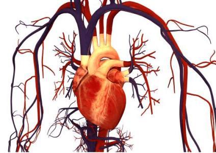 小儿心律失常常误诊，怎么避免常见误区？什么情况需要治疗？