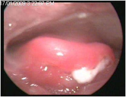 1578282844295182.jpg 1993831.jpg