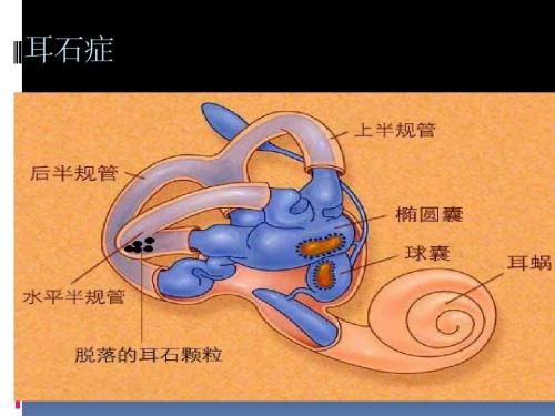 1578576117158660.jpg u=1010811125,2098921177&fm=26&gp=0.jpg