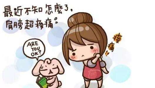u=2339543902,778784704&fm=26&gp=0.jpg