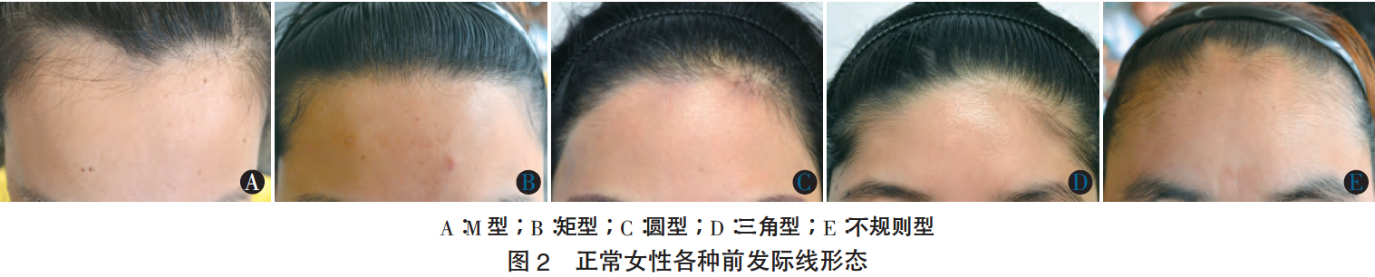 微信图片_20200120164540.png