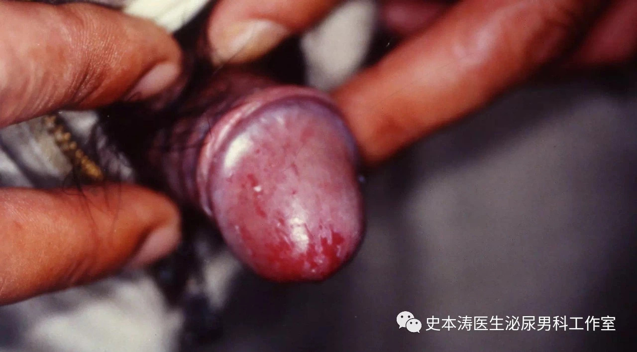 微信图片_20200201183900.jpg