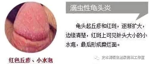 微信图片_20200201183856.jpg