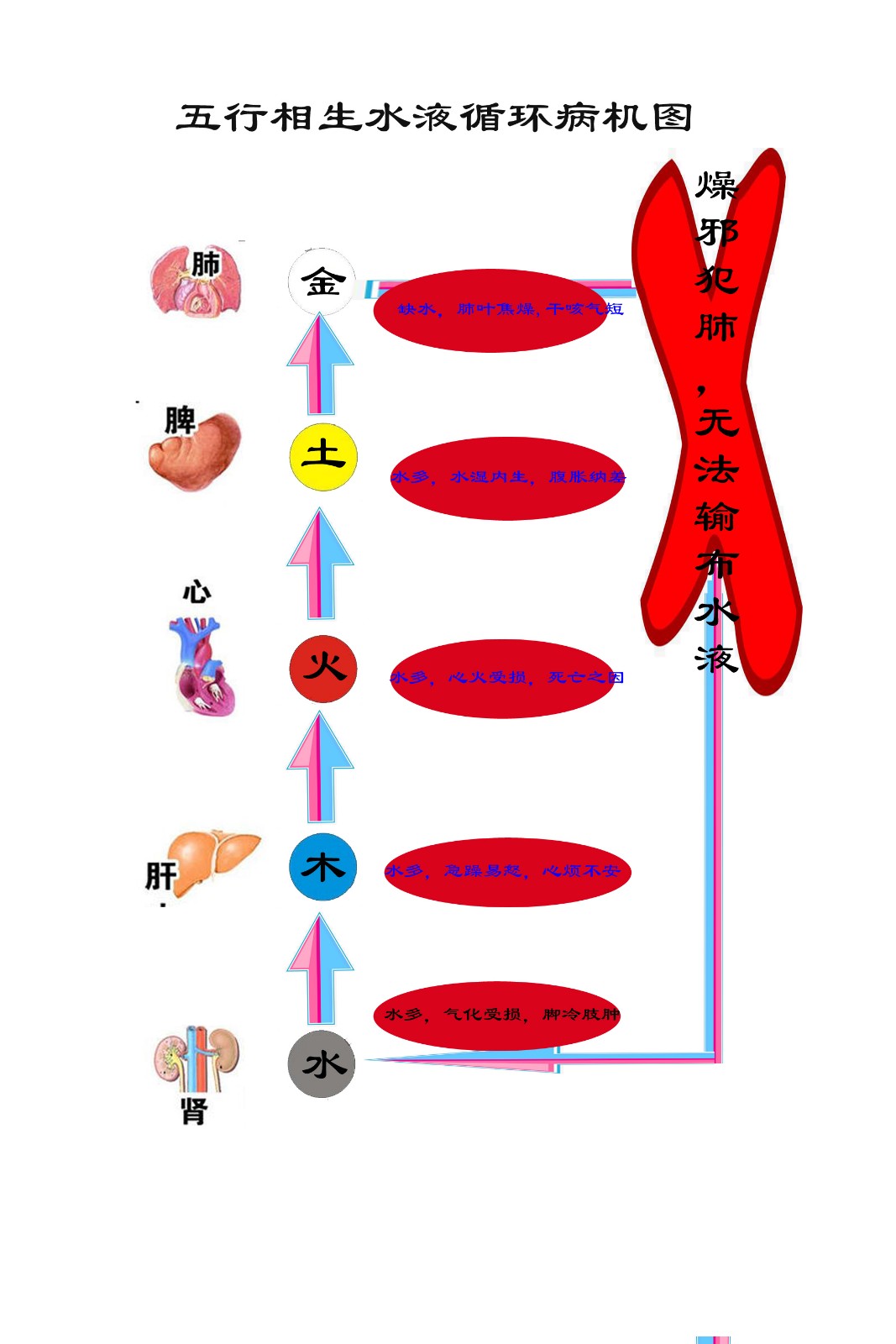 五脏病机图.jpg