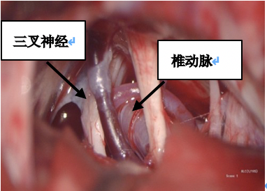 截屏2020-02-17下午10.33.57.png