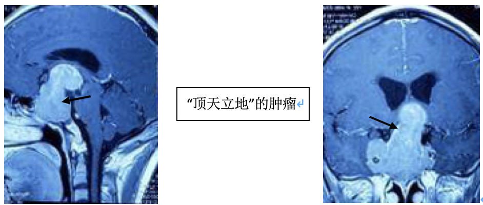截屏2020-02-20下午11.02.19.png