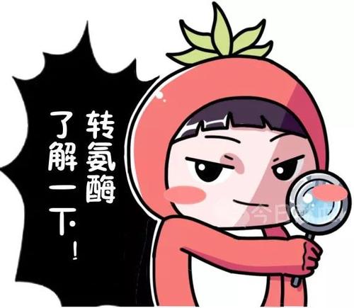 转氨酶升高002.jpg