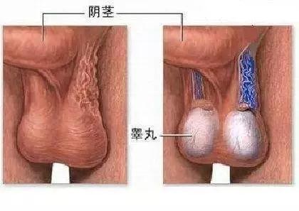 微信图片_20200305203405.jpg