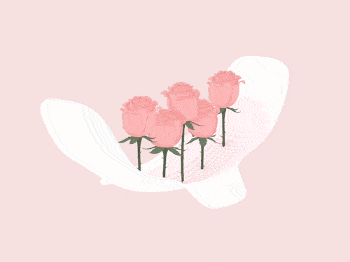 3.gif
