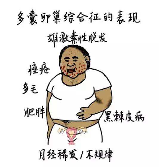timg (8).jpg