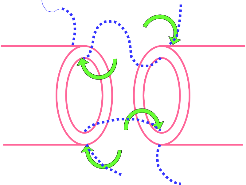 003.png