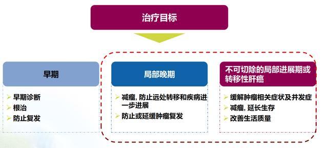 疫情期间肝癌的靶向治疗