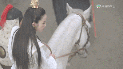 timg.gif