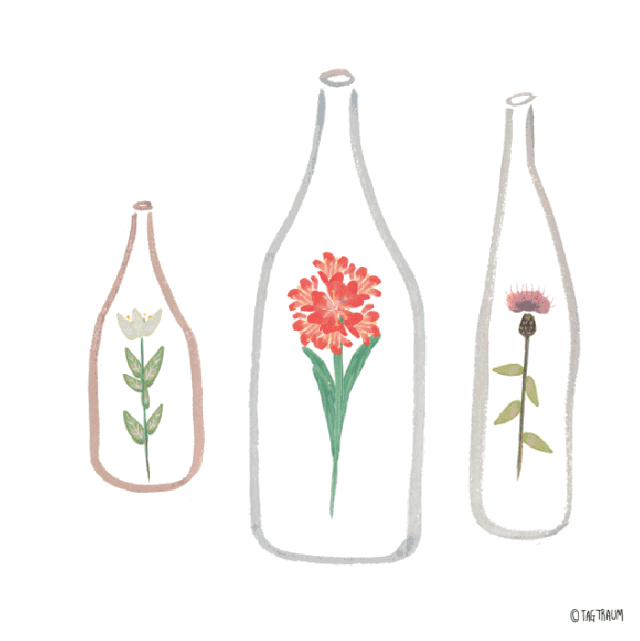 10.gif