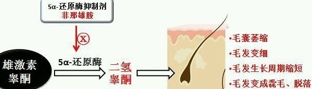 u=3057621087,3162239832&fm=26&gp=0.jpg