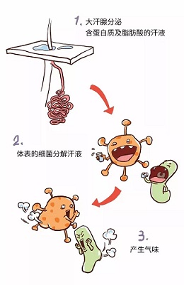 微信图片_20200430094009.jpg