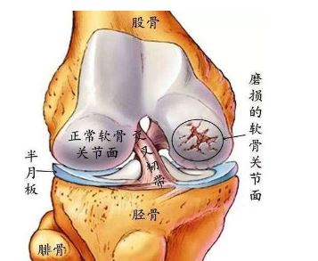 捕获2.JPG