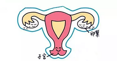 1588472743257796.png 3.png