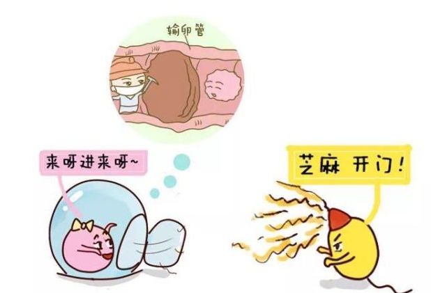 1588472759990069.jpg 4.jpg