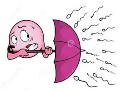 1588472775970589.jpg 5.jpg