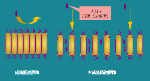 dabc255ad554e58ff32df8ede0d7af2.png