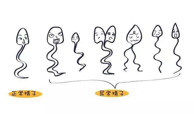微信图片_20200506100723.jpg