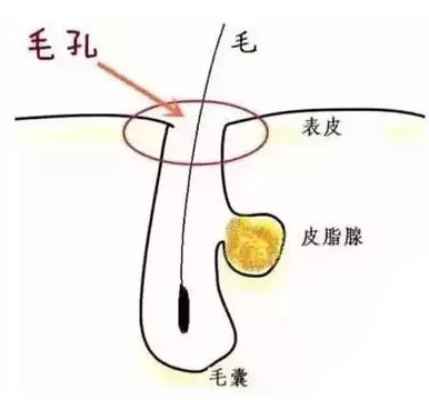 a1e642c2e2ed41269eed936b76f7ed10_th.png