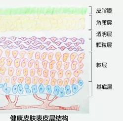 a69531ae1e5249e0b7c9b611cbcc0d2f_th.png