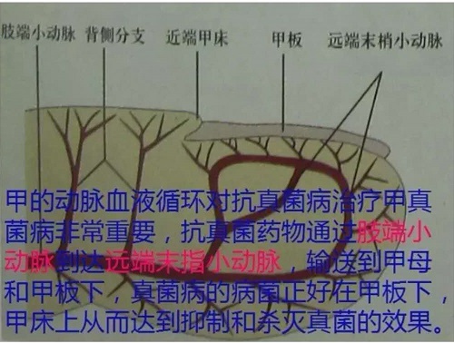 微信图片_20200512195332.jpg
