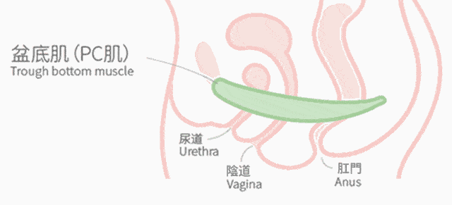 1.gif