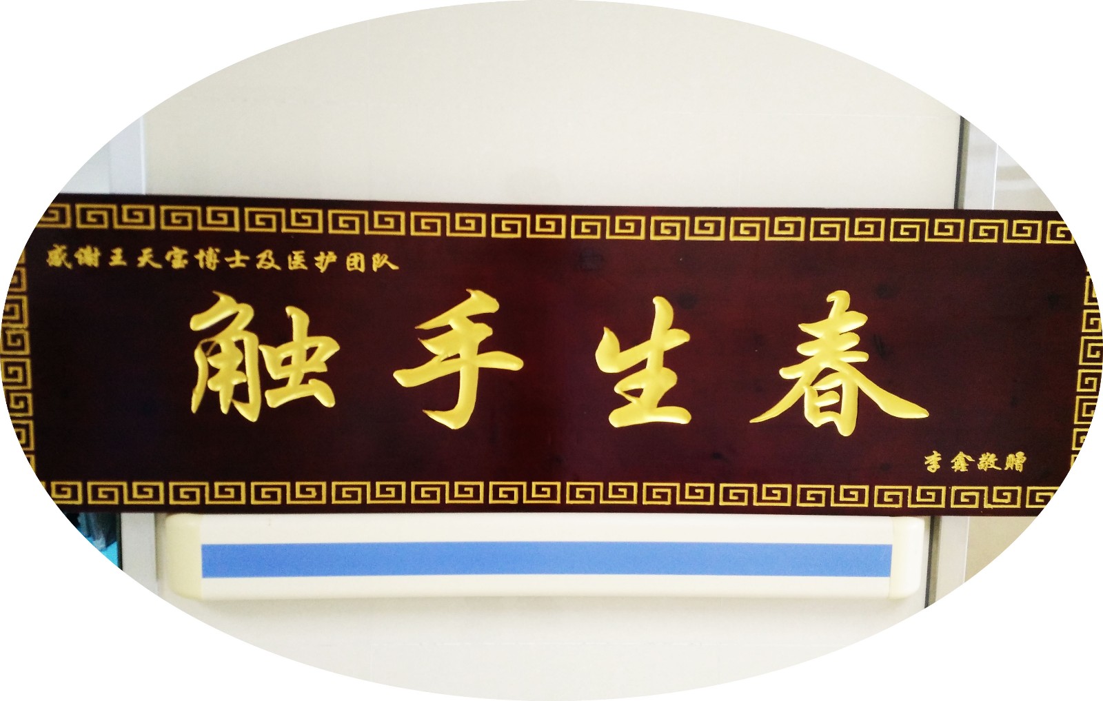触手生春-2.jpg