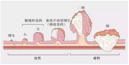 未标题-1.jpg