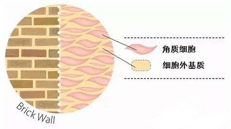 微信图片_20200517070244.jpg