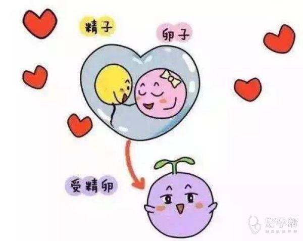 微信图片_20200523235627.jpg