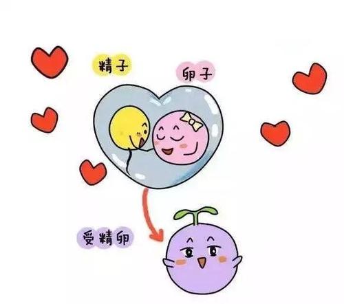 u=1871102411,1983783208&fm=26&gp=0.jpg