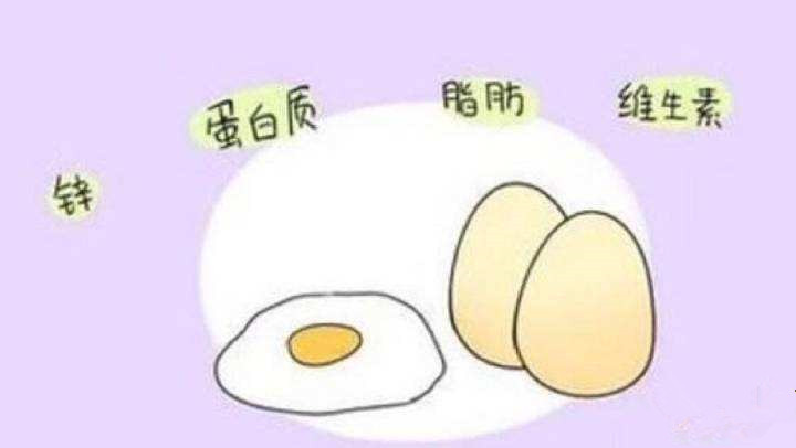 timg_副本.jpg