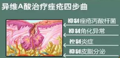 微信图片_20200528071801.png