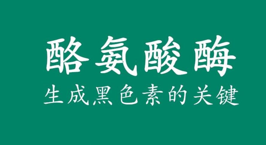 QQ截图20200529155444.jpg