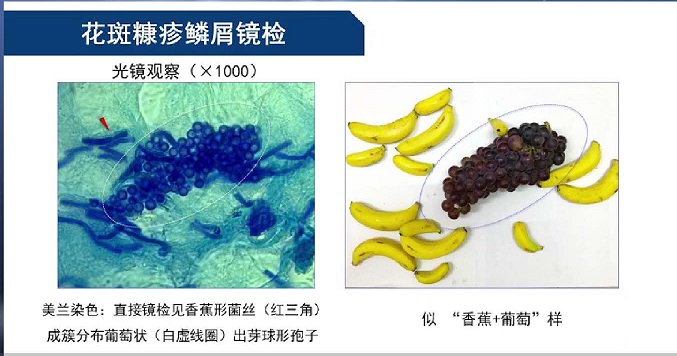 微信图片_20200602233342.jpg