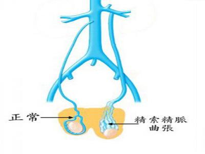 u=4286503240,1914365149&fm=26&gp=0.jpg