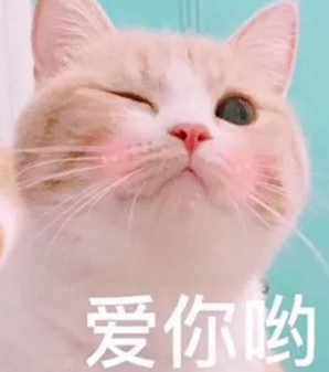QQ浏览器截图20200618165552.png